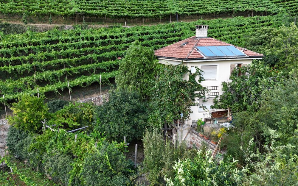 Villa umgeben von Weinbergen nahe Bozen