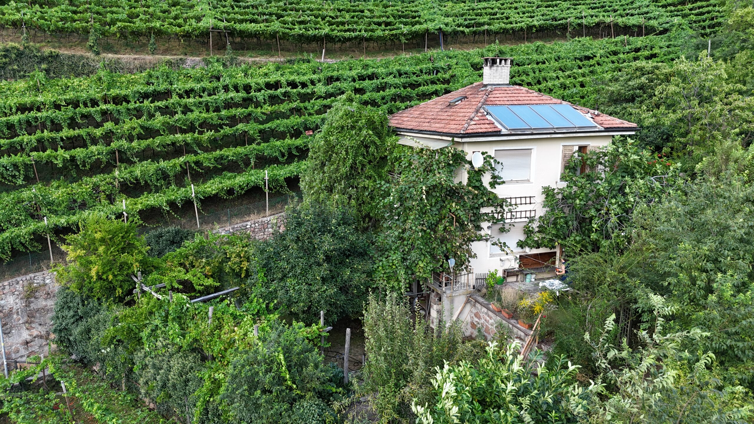 Villa umgeben von Weinbergen nahe Bozen